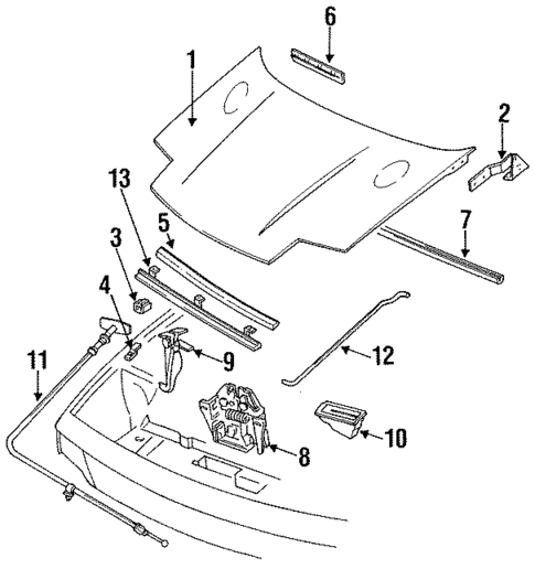 Exterior Trim - Hood for 1991 Mercury Capri #0