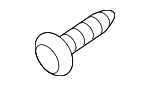 145100841 - Body: Rocker Molding Screw for INFINITI: EX35, EX37, FX35, FX37, FX45, FX50, G20, G25, G35, G37, I30, I35, JX35, M35, M35h, M37, M45, M56, Q40, Q45, Q50, Q60, Q70, Q70L, QX30, QX50, QX55, QX56, QX60, QX70, QX80 Image