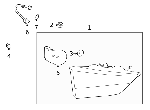 Bulbs - Chassis for 2021 Lexus RX350L #0