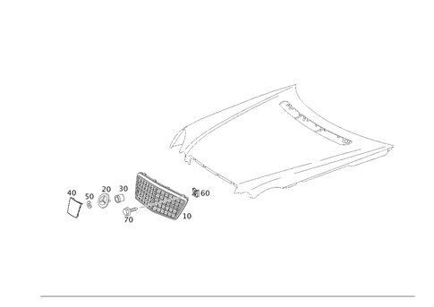 Radiator Grill for 2006 Mercedes-Benz E320 #0