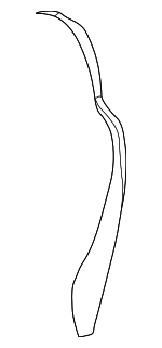 1BC721J3AA - Body: Seat Back Assembly for Jeep: Liberty Image