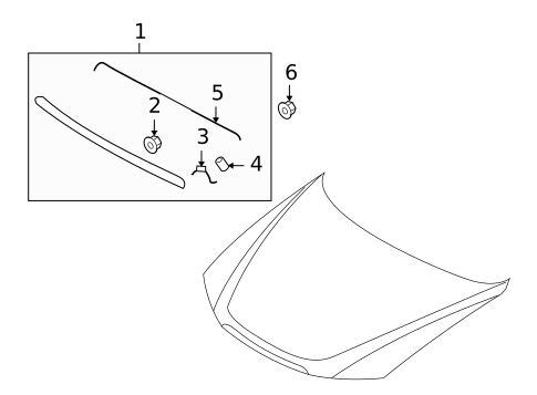 Exterior Trim - Hood for 2009 Hyundai Sonata #0