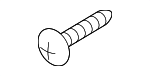 Tail Lamp Assembly Screw