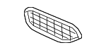 51117489710 - : Inner Grille for BMW: Z4 Image