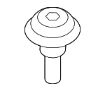 7147350925 - Electrical: Tail Lamp Screw for BMW Image