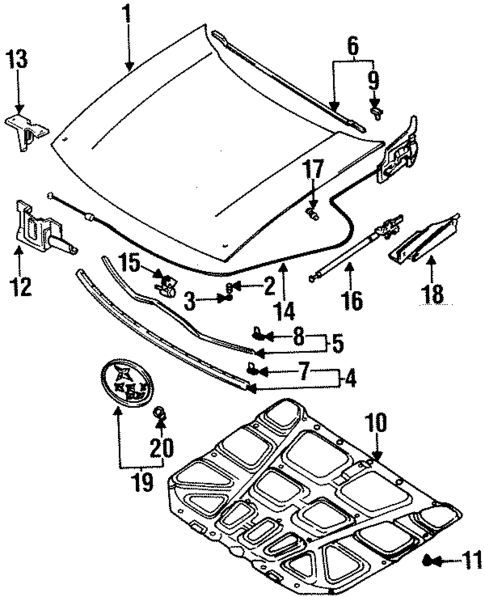 Exterior Trim - Hood for 1993 Subaru SVX #0