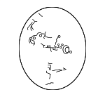 78501TR0N61ZA - Steering: Steering Wheel for Honda: Civic Image