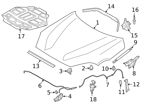 Hood & Components for 2020 Toyota GR Supra #0
