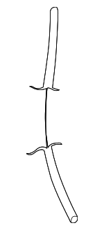 913909E000 - Body: Drain Hose for Nissan: Altima Image