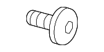 7147234925 - Body: Striker Screw for Mini Image
