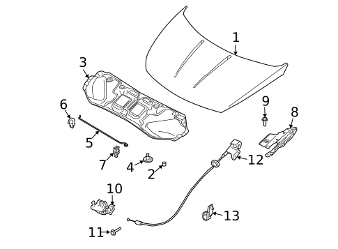 Hood & Components for 2008 Nissan Quest #0