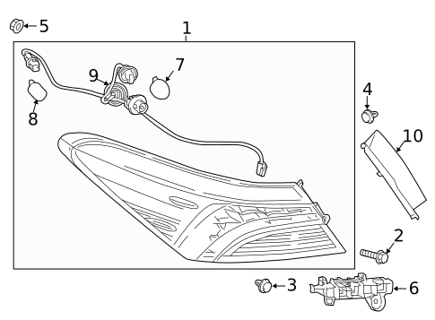 Bulbs - Chassis for 2020 Toyota Camry #1