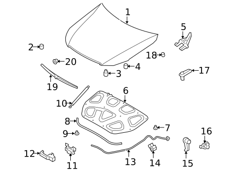 Exterior Trim - Hood for 2012 Hyundai Genesis #0