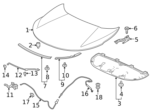 Hood & Components for 2020 Honda CR-V #0
