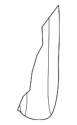 GNC5540EBLFL - Body: Seat Back Assembly for Jaguar Image