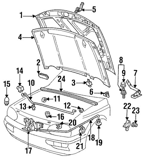 Hood & Components for 1995 Volkswagen Golf #0
