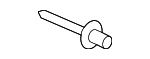 Side Molding Rivet
