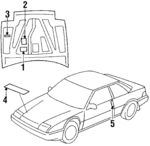 17277PH4710 - Body: Info Label for Honda: Accord Image