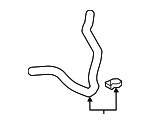 1657237190 - Cooling System: Lower Hose for Toyota: Corolla Image