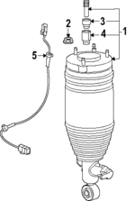 561007JC0A - : Suspension Strut for Nissan Image