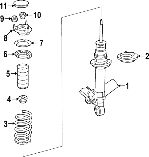 Shocks & Components for 2024 Mercedes-Benz SL55 AMG #0
