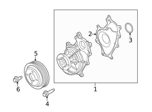 Water Pump & Related Components for 2015 Ford Mustang #0