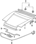 60100SF1020ZZ - Body: Hood for Honda: Prelude Image