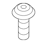 Backup Lamp Assembly Screw