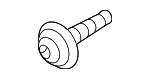 PAF008317 - Body: Striker Bolt for Porsche Image