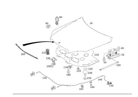 Engine Hood for 2008 Mercedes-Benz C350 #0