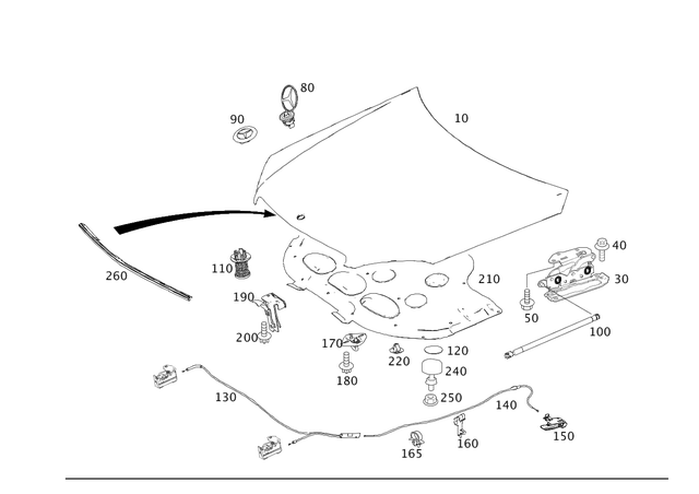 2048801157 - Detachable Parts: Hood for Mercedes-Benz: C250, C300, C350 Image image