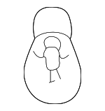 264591 - Electrical: Bulb for Land-Rover Image