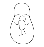 264590 - Electrical: Bulb for Land-Rover Image