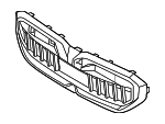 51135A017A9 - Body: Grille Assembly for BMW Image