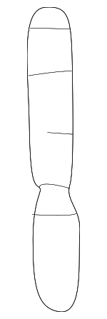 254512D300 - Cooling System: Reservoir Hose for Hyundai: Elantra, Tiburon Image