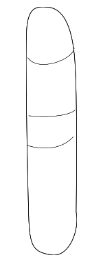 254432D310 - Cooling System: Reservoir Hose for Hyundai: Elantra, Tiburon Image