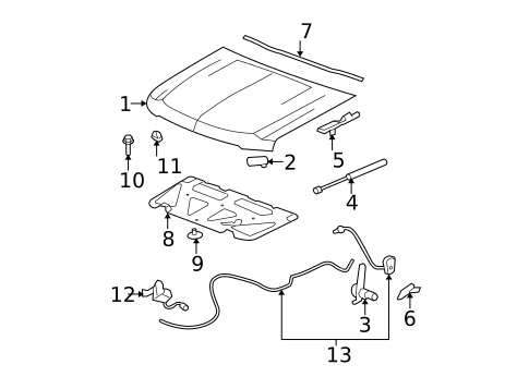 Hood & Components for 2009 Chevrolet Tahoe #0