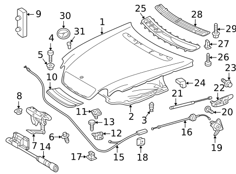 Hood & Components for 2005 Mercedes-Benz S600 #1