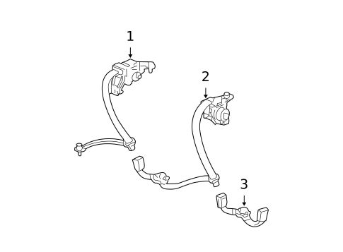 Rear Seat Belts for 2004 Acura TL #0