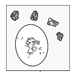 DE9Z3600KC - : Steering Wheel for Lincoln: MKT Image