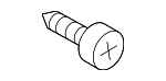 9008016111 - Body: Rocker Molding Screw for Scion: xA | Toyota: bZ4X, C-HR, Corolla, Crown Signia, FJ Cruiser, GR Corolla, Grand Highlander, Highlander, Mirai, Prius, Prius AWD-e, Prius Plug-In, Prius Prime, RAV4, RAV4 Prime, Sequoia, Sienna, Venza Image