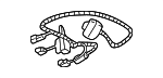 Wire Harness