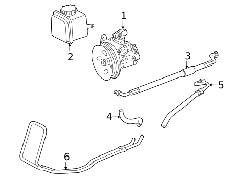 Pump & Hoses for 2003 Mercedes-Benz SLK 32 AMG&reg; #0