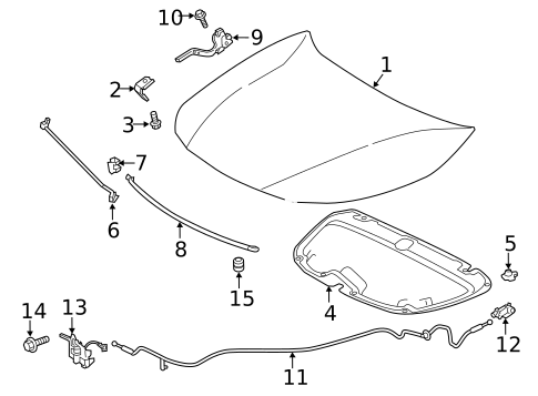 Hood & Components for 2022 Toyota Corolla #0