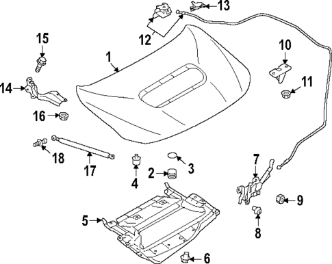 Hood & Components for 2025 Subaru WRX #0