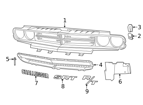 Grille & Components for 2009 Dodge Challenger #0