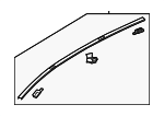 Roof Molding - Driver's Side (LH)