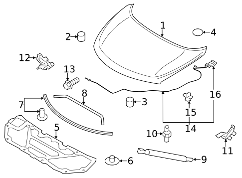 Hood & Components for 2011 Nissan Murano #0