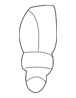 25609434 - Body: Bumper for Buick: LeSabre, Park Avenue, Riviera | Cadillac: DeVille, DTS, Seville | Chevrolet: Malibu | Oldsmobile: Aurora | Pontiac: Bonneville Image