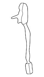 D1459C - Body: ACDelcoâ„¢ Lamp Switch for Buick: Century, LeSabre, Park Avenue, Reatta, Regal, Riviera | Cadillac: 60 Special, DeVille, Eldorado, Fleetwood, Seville | Chevrolet: Camaro, Impala, Monte Carlo | Oldsmobile: 88, Aurora, Intrigue, LSS, Regency, Toronado | Pontiac: Firebird, Grand Prix Image